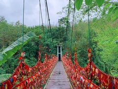 -西双版纳原始森林公园