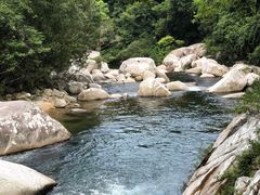 -海南热带雨林国家公园吊罗山景区