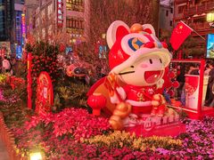-越秀西湖花市(广州城市广场花卉店)