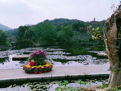 -白马涧龙池景区