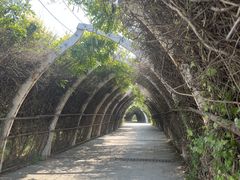 -天津东丽湖风景区