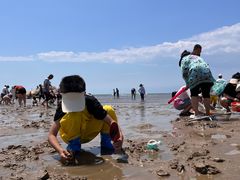 -老虎石海上公园