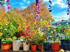 -宋园·金宴浙鲜馆(静安店)