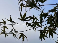 -中粮·祥云小镇