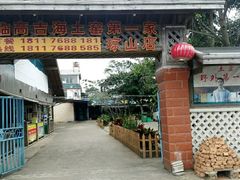 门面-临高吉海土窑海鲜(琼山店)