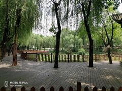 -巴山一绝烤全羊(三圣乡刘家花园店)