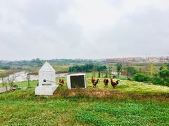 -哼哼农场