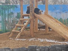 -秦皇岛野生动物园