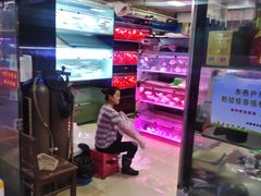 -中环花鸟鱼虫市场