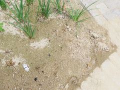 -白水寺森林公园