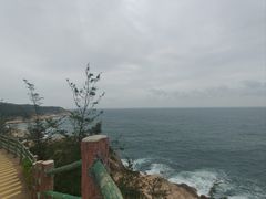 -广东惠东海龟国家级自然保护区