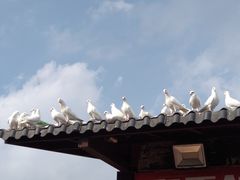 -飞来湖湿地公园
