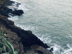 -漳州滨海火山岛自然生态风景区