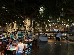 -杭州开元森泊度假乐园