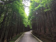 -山王坪喀斯特国家生态公园