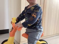 -稚马儿童平衡车自行车俱乐部