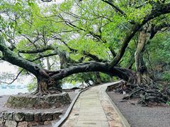 -抚仙湖禄充风景区