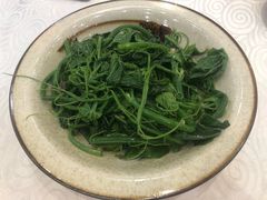 巧拌丝瓜尖-嘉陵楼馋嘴城(簋街总店)