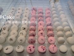 -BLACKSWAN黑天鹅(环球店)