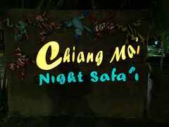 景点-清迈夜间动物园