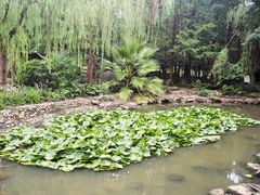 -苏州河梦清园环保主题公园