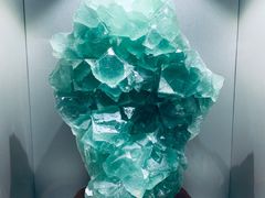 -甘肃地质博物馆