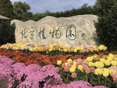 -北京植物园南门售票处