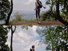 -风云岭森林公园