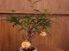 -CURRY YA 熟成咖哩專門店(深圳湾万象城店)