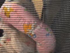 -半岛宠物医院24小时·内窥镜·牙科·碎石中心(府城大道店)