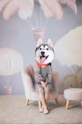 -WPlus明星肖像亲子全家福摄影