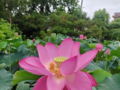 -龚家花园农家乐休闲别墅
