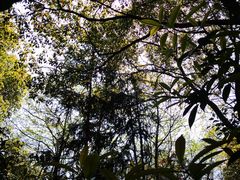 -青龙山国家森林公园