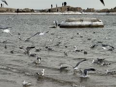 -老虎石海上公园