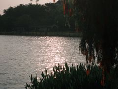 -东莞植物园