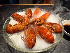 精品冰镇蓝龙虾-红盔甲·小龙虾(崂山路店)