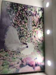 -飞鱼婚纱摄影(宏福大厦店)