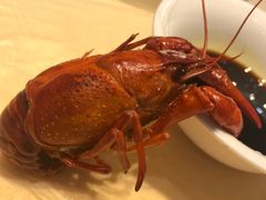 -怪怪龙虾·澳洲蓝龙王·深夜食堂(惊驾路店)