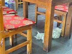 -老北京褡裢火烧·任记