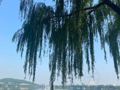 -济南国际园博园