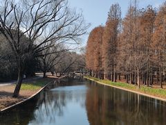 -上海共青森林公园