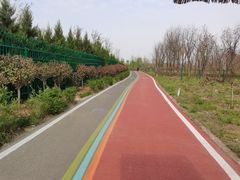 -淇河国家湿地公园