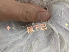-瑞鹏宠物医院·超声·骨科·奇麟分院(蜀都万达店)