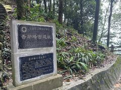 -缙云山景区
