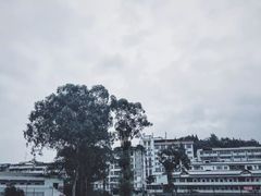 -四川农业大学(雅安校区)