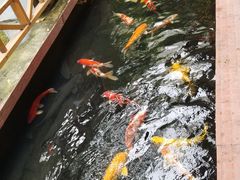 -侠成水上农庄(工业大道店)