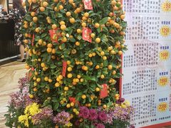 -和乐喜点(宝岗大道店)
