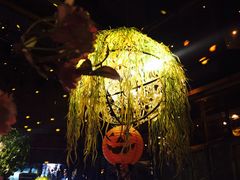 -胡桃里音乐酒馆(曲江店)