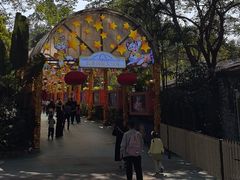 -广州长隆国际大马戏