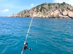 -小猫钓鱼海钓俱乐部(椰梦长廊店)